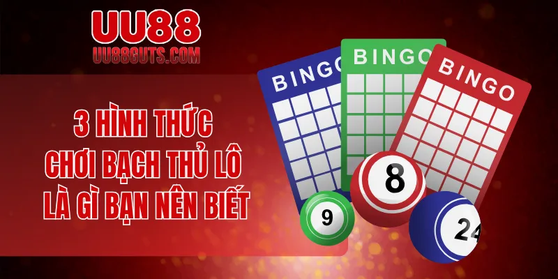 Bạch Thủ Lô Là Gì? Giải Mã Thông Tin Và Mẹo Chơi Cho Bạn 6 3 hình thức chơi bạch thủ lô là gì bạn nên biết