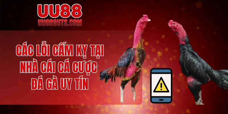 Các lỗi cấm kỵ tại nhà cái cá cược đá gà uy tín