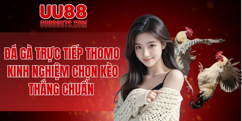 Đá gà trực tiếp Thomo