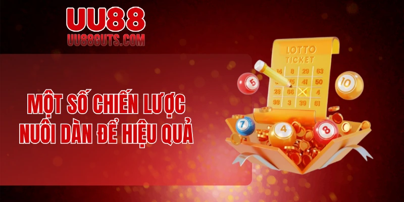 Dàn Đề Bất Tử - Bí Quyết Nuôi Hiệu Quả Của Cao Thủ 7 Một số chiến lược nuôi dàn để hiệu quả